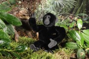 Gorilla, klein 7290 Fa. Kösen 15 cm 
