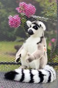 Lemur / Katta 6900 Fa. Kösen 45 cm 