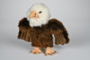 Uni Toys, Weißkopfadler, 50112, Unitoys, Adler, ヴァイスコプファドラー, White-headed eagle, águila de cabeza blanca, Aigle à tête blanche, 