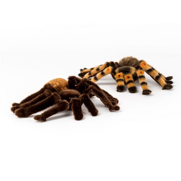 Schwarze Vogelspinne Als Kuscheltier – Naturgetreues Plüschtier, Ca. 16 Cm Lang